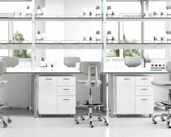Laboratory Seating: Ergonomic and Comfort