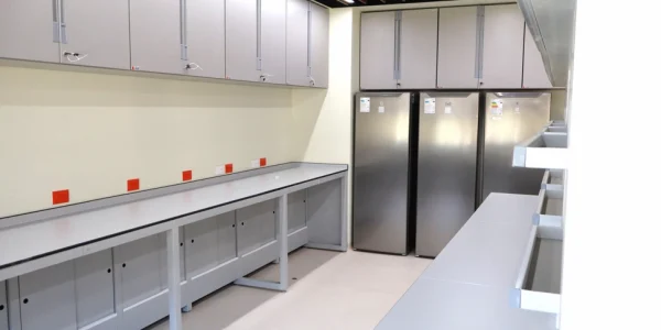 Saint Mark's University Laboratory